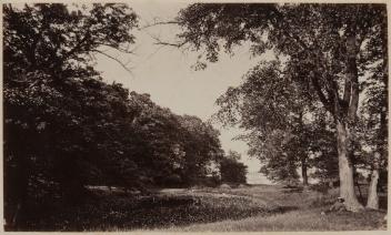 Pond, St. Helen's Island park, Montreal, QC, about 1870