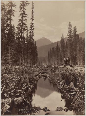Vallée de la rivière Beaver près du ruisseau Six Mile, chemin de fer du Canadien Pacifique, CB, 1885