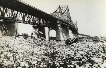 Jacques Cartier bridge from field of flowers, Montreal, QC, ca. 1935