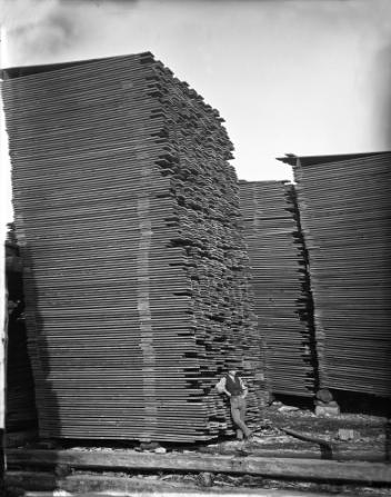 Piles de bois d'oeuvre, Ottawa, Ont., 1872
