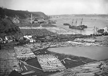 Timber coves at Quebec City, QC, 1872