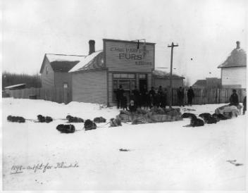 Dog trains loaded, starting for the North, AB, 1898