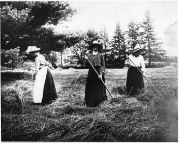 Three ladies haying, Drummondville, QC, about 1900
