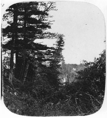 Vue de la berge en direction des chutes, Niagara, Ont., vers 1860
