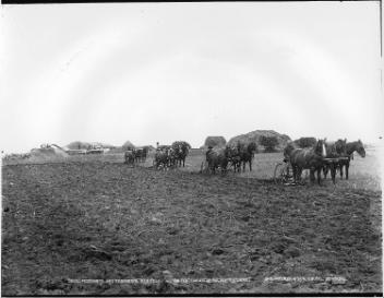 Ploughing and threshing on the C.P.R., MB, 1889