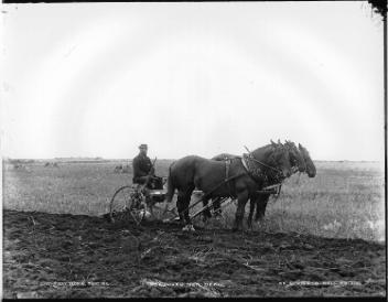 Sulky plough on the C.P.R., MB, 1889