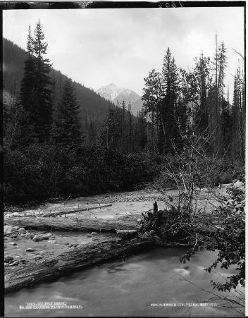 Six Mile Creek sur la ligne du CP, C.-B., 1889