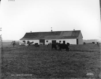 Ferme J. Maltais, Mistouk, Lac-Saint-Jean, QC, vers 1903