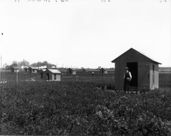 Colony laying house, poultry, MacDonald College, Ste. Anne de Bellevue, QC, 1908