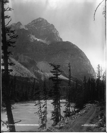 Mount Stephen from Yoho Drive, Kicking Horse Valley, BC, 1909