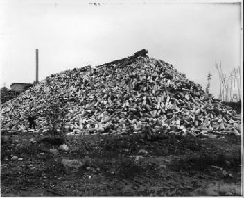 Piles de bois à pâte, Daley's Siding, QC, 1916 (?)