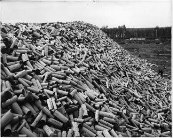 Pulpwood piles, Daley's siding, QC, 1916 (?)