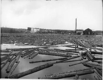 Lumber mill, Daley's siding(?), QC, 1916 (?)