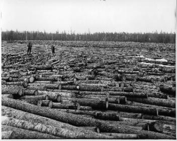 Logs in the dam at the lumber mill, Daley's Siding(?), QC, 1916 (?)