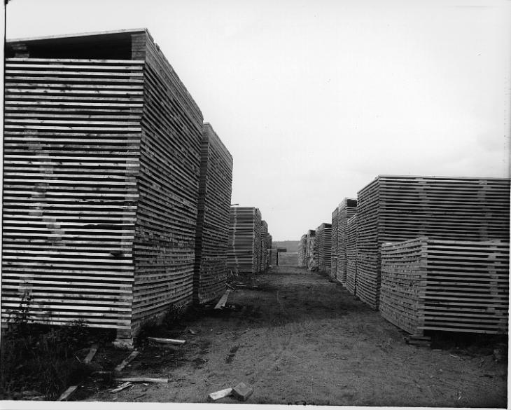 Piles de bois d'oeuvre à la scierie, Daley's Siding (?), QC, 1916 (?)