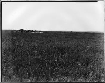 Curtis farm, south of Sheppard, Bow Valley, AB, about 1920