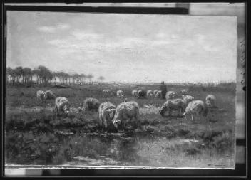 Shepherd and flock of sheep, painting by Heurs, copied for Watson Art Gallery 1927