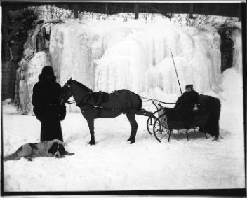 Mrs. Hamilton's pony and dogs, Montreal, QC, 1895