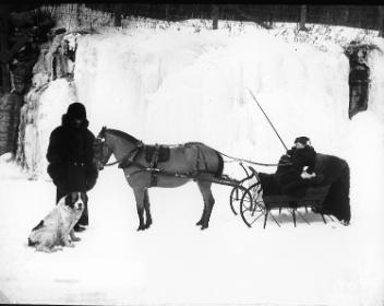 Mrs. Hamilton's pony and dog, Montreal, QC, 1895