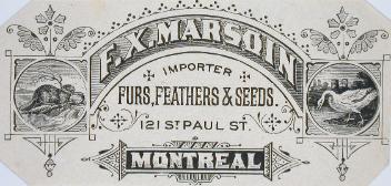 F. X. Marsoin, importateur de fourrures, de plumes et de graines
