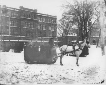 La carriole et le cheval de M. Murray, square Phillips, Montréal, QC, 1904