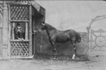 Mlles Allan et un cheval, Montréal, QC, 1876
